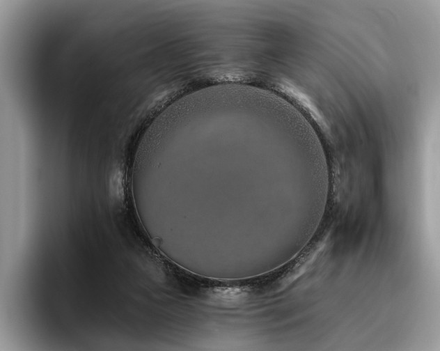 X0000096210161200801181437