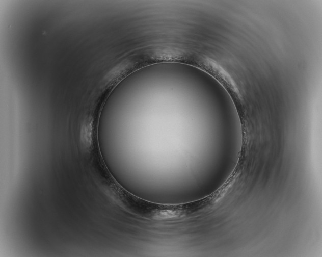 X0000096210163200801181437