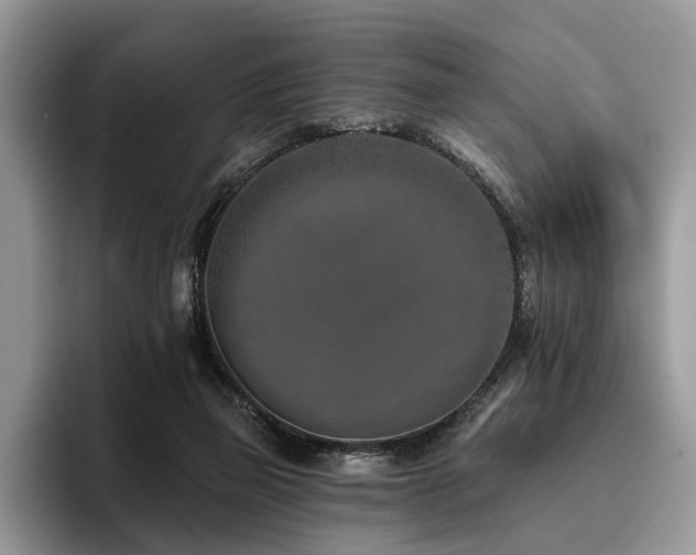 X0000096210165200801181437