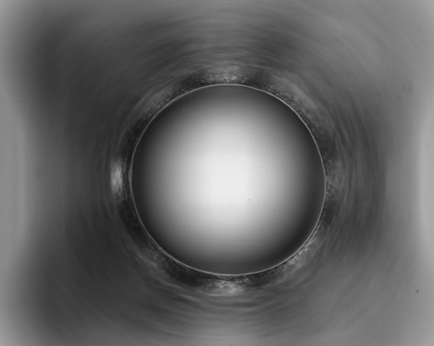 X0000096210166200801181437