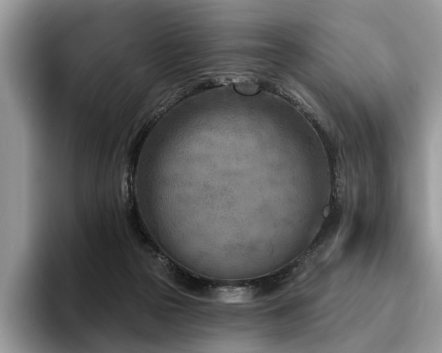 X0000096210169200801181437