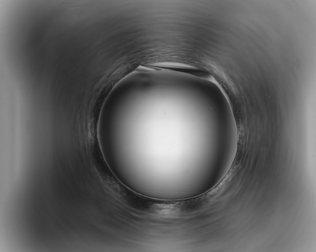 X0000096210170200801181437