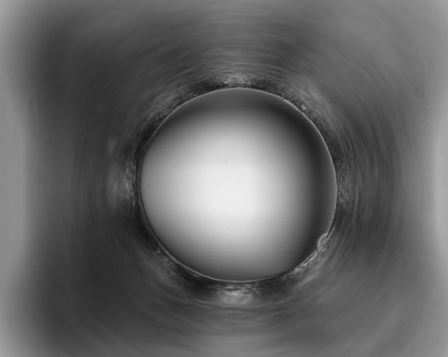 X0000096210175200801181437