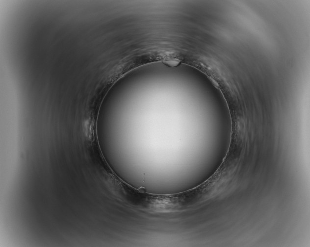 X0000096210177200801181437