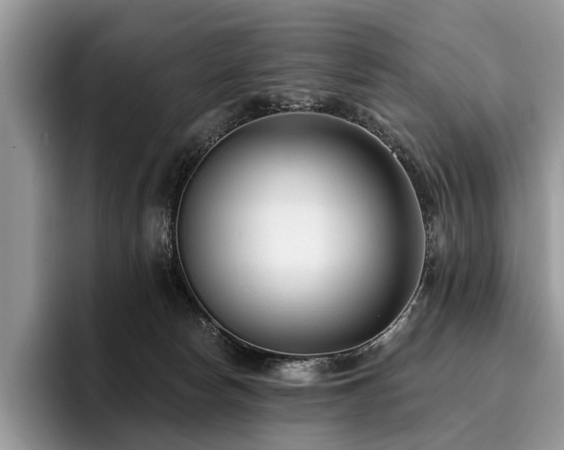 X0000096210178200801181437