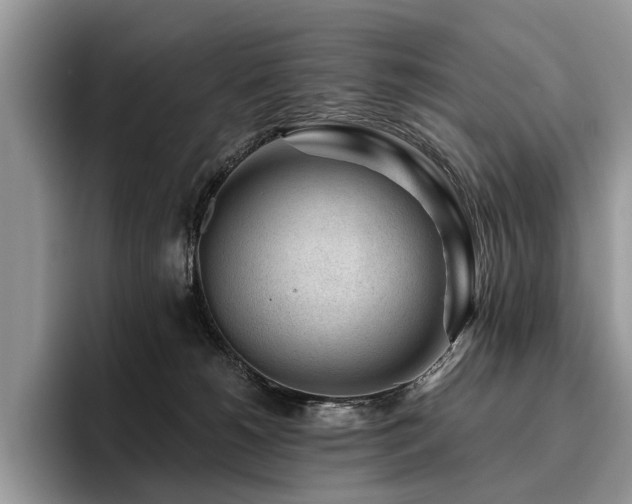 X0000096210180200801181437