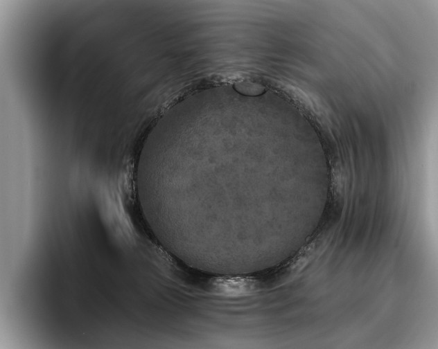 X0000096210181200801181437