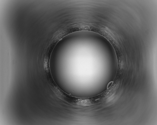 X0000096210185200801181438