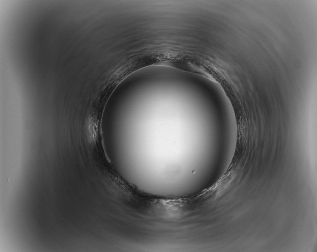 X0000096210188200801181438