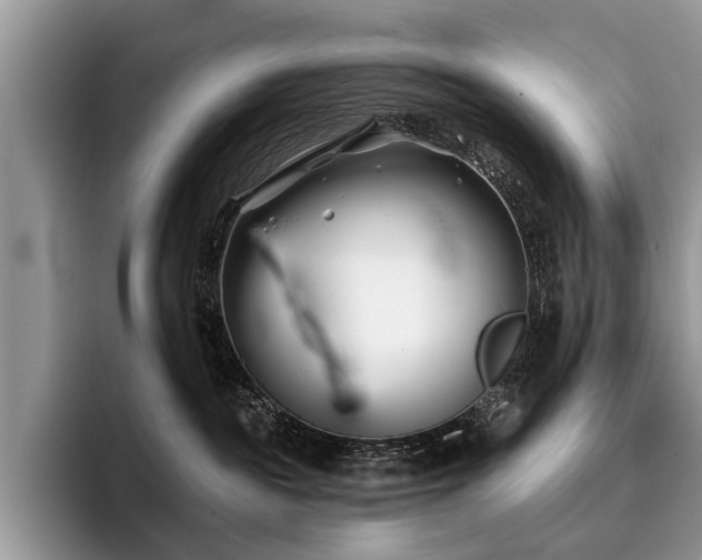 X0000096210189200801181438