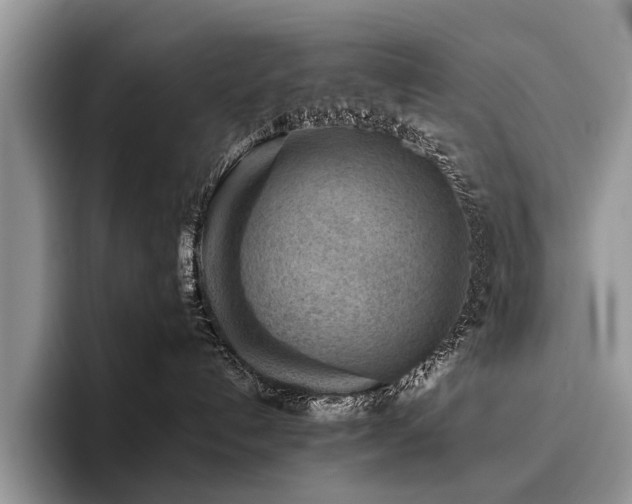 X0000096210192200801181438
