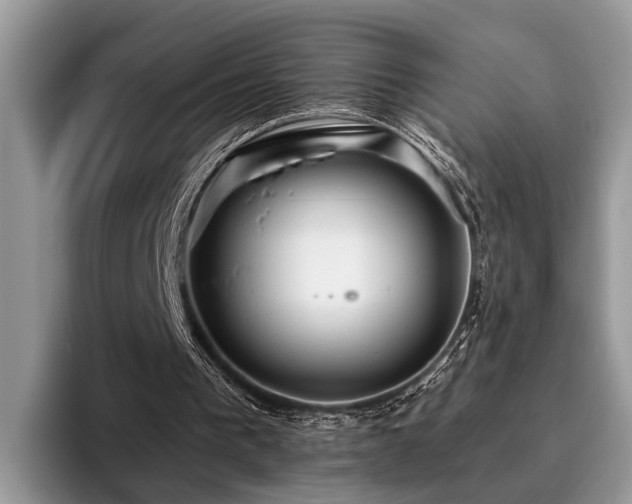 X0000096210193200801181437