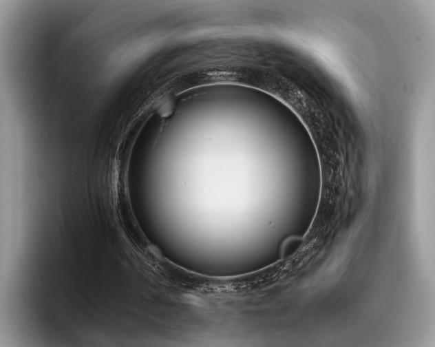 X0000096210194200801181437