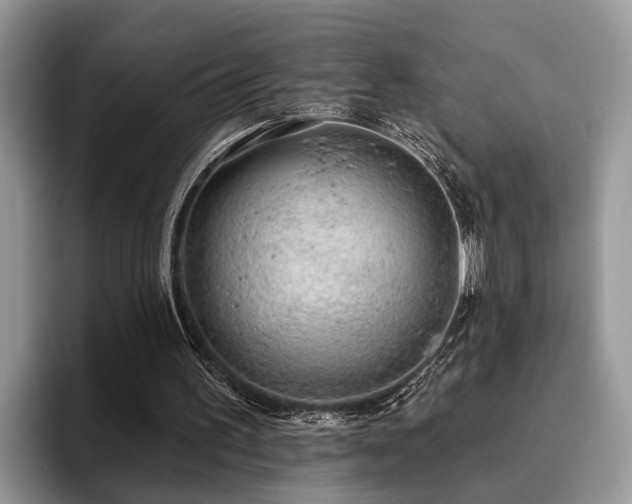 X0000096210195200801181437