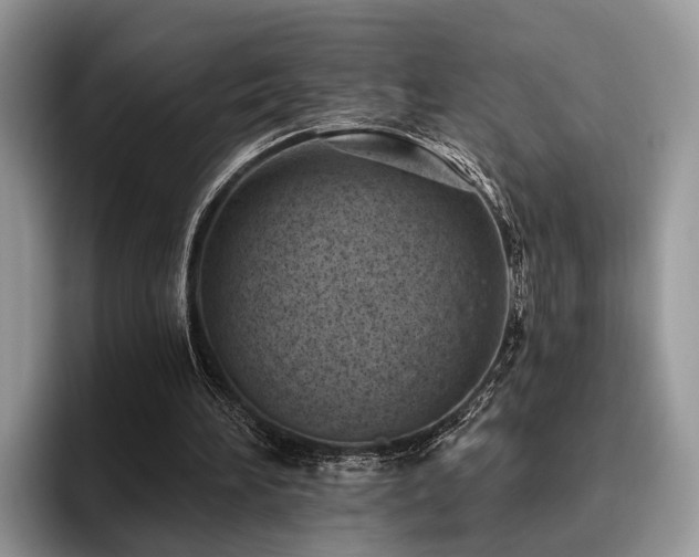 X0000096210196200801181437