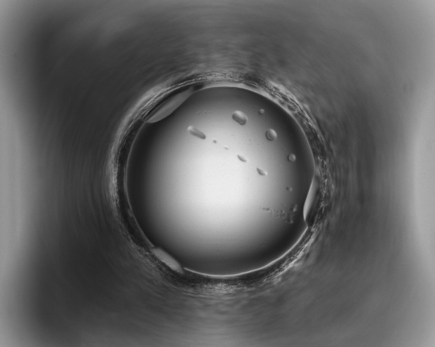 X0000096210197200801181437