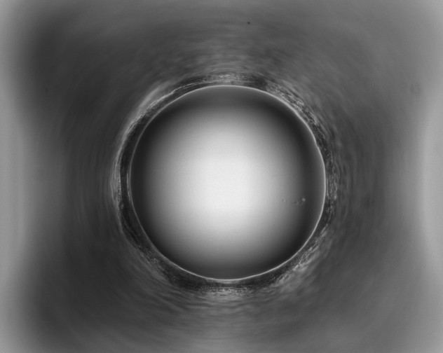 X0000096210198200801181437