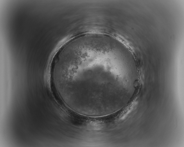 X0000096210199200801181437