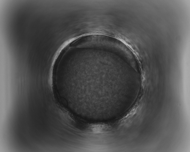 X0000096210200200801181437