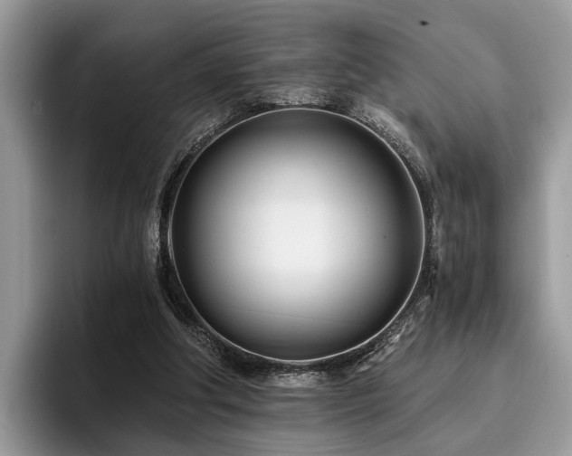 X0000096210202200801181437