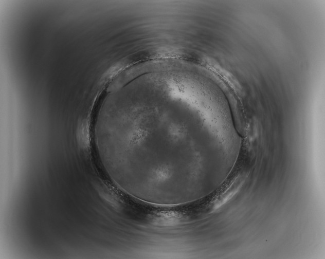 X0000096210203200801181437