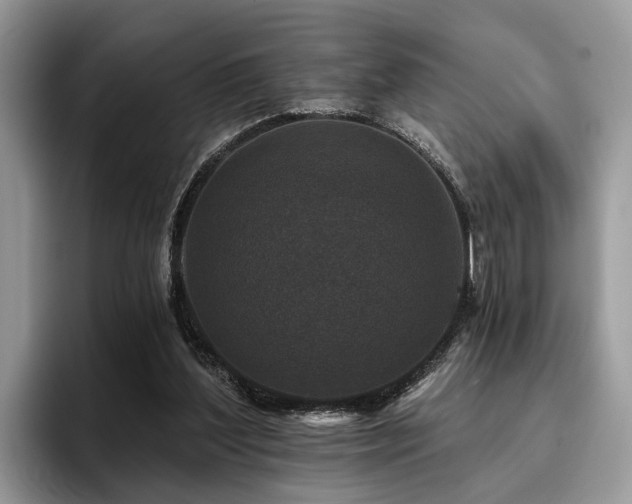 X0000096210204200801181437