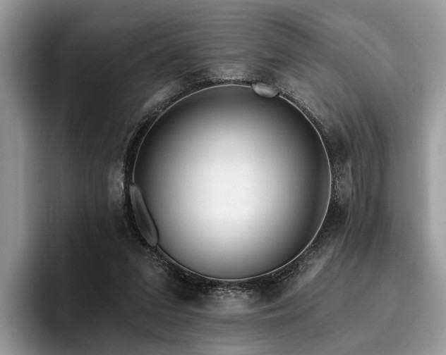 X0000096210207200801181437