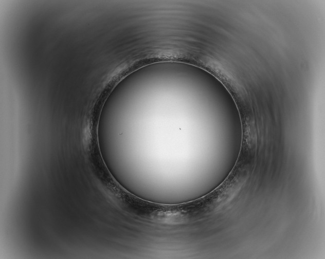 X0000096210208200801181437