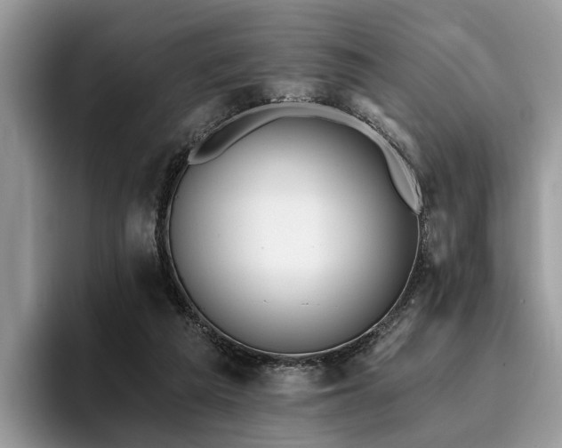 X0000096210209200801181437