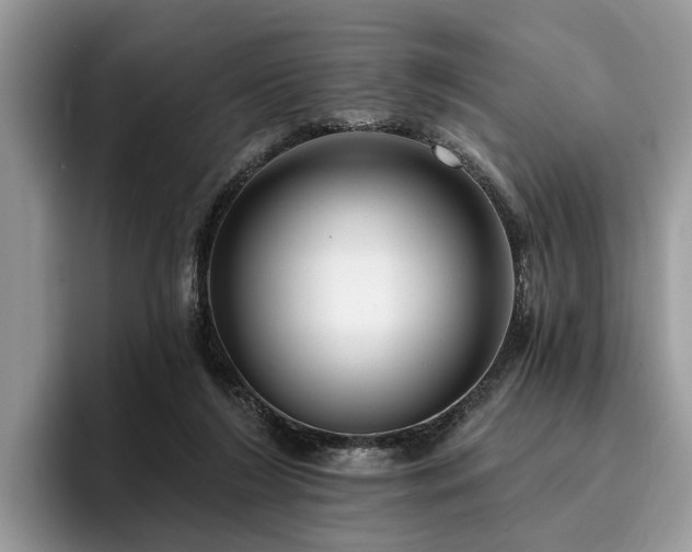 X0000096210212200801181437