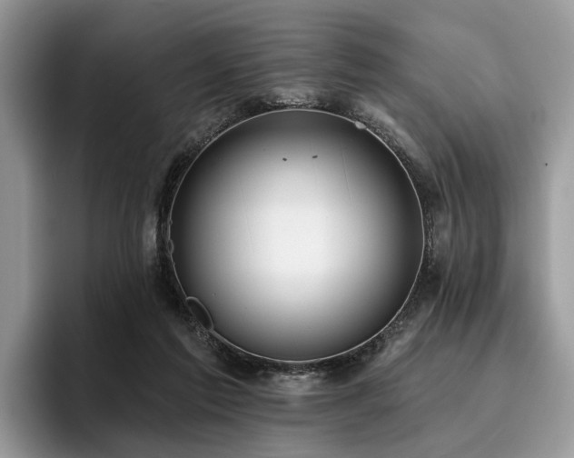 X0000096210213200801181437