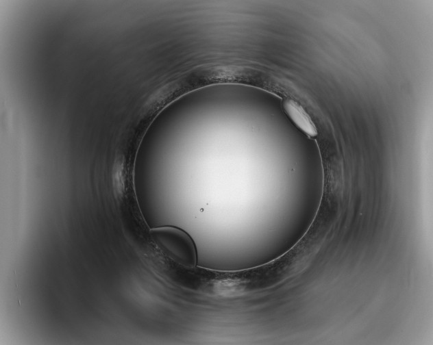 X0000096210216200801181437