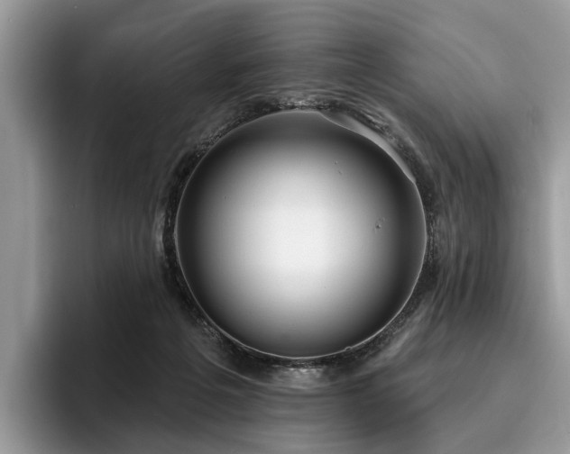 X0000096210217200801181437