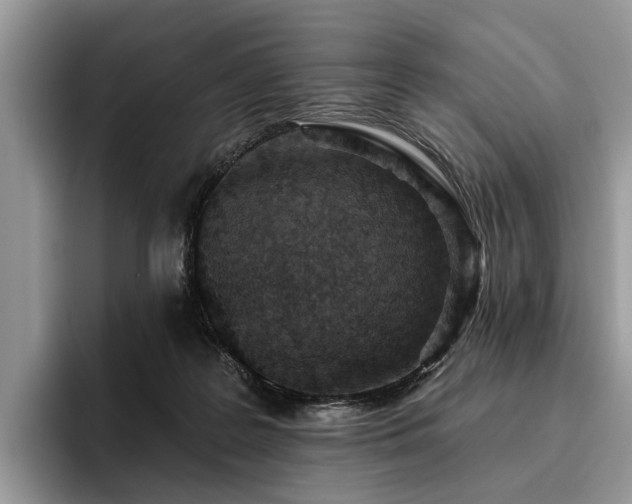 X0000096210219200801181437