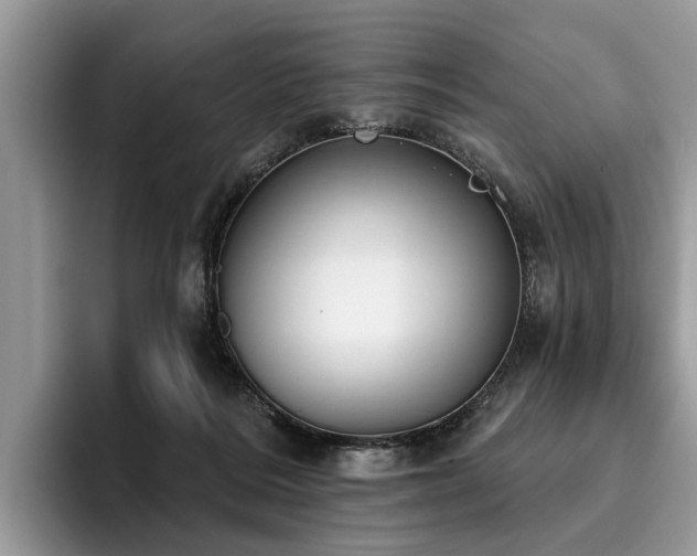 X0000096210220200801181437