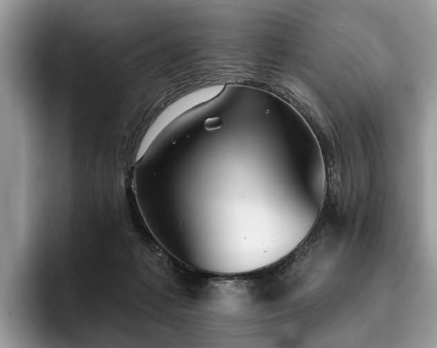 X0000096210221200801181437