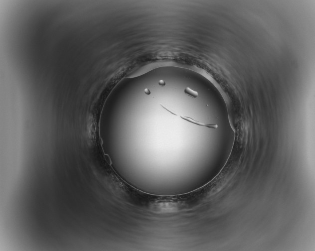 X0000096210228200801181437