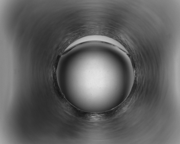 X0000096210229200801181437