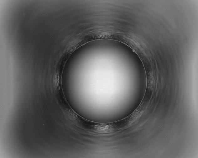 X0000096210230200801181437