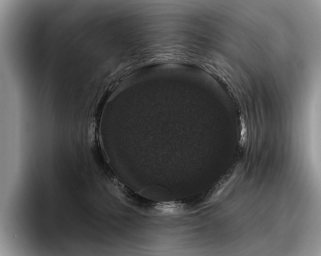 X0000096210231200801181437