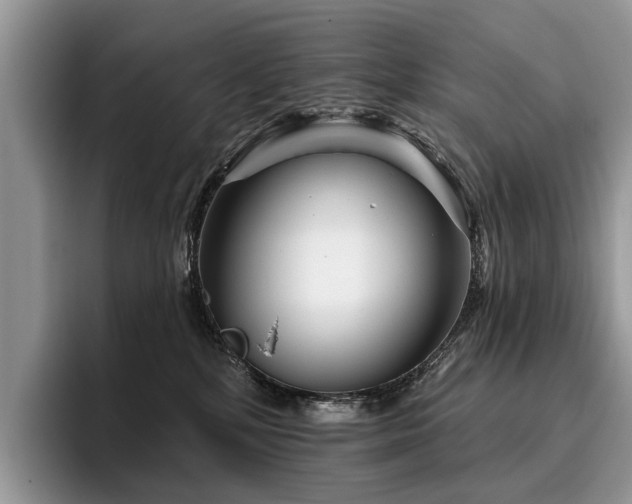 X0000096210232200801181436