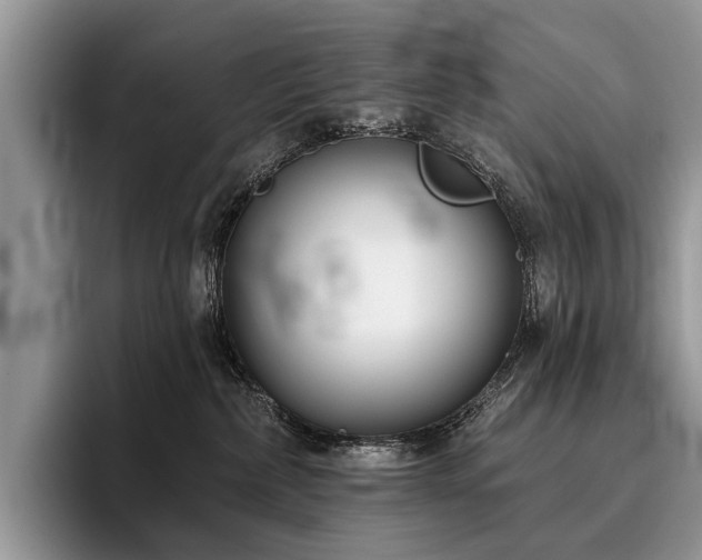 X0000096210236200801181436
