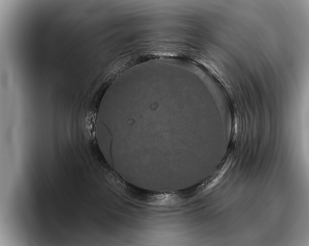 X0000096210237200801181436