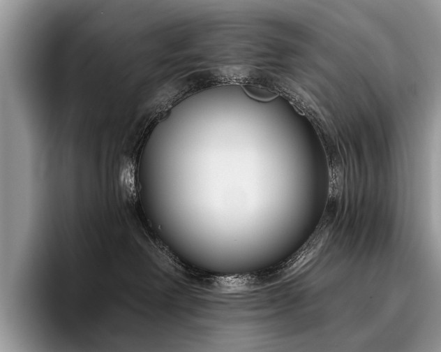 X0000096210238200801181436