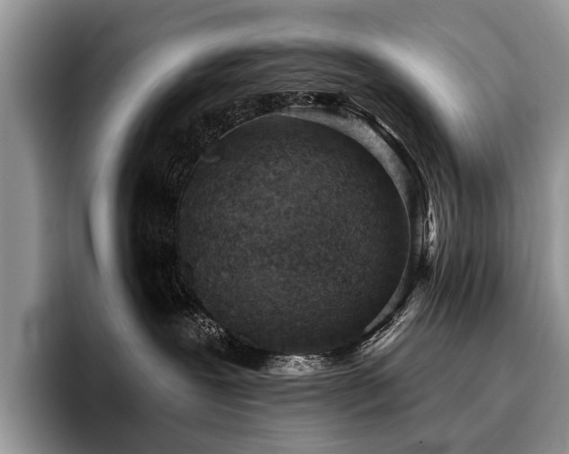 X0000096210239200801181436