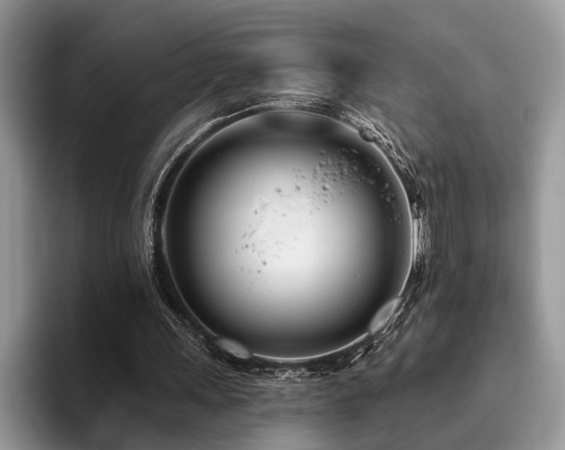 X0000096210243200801181436
