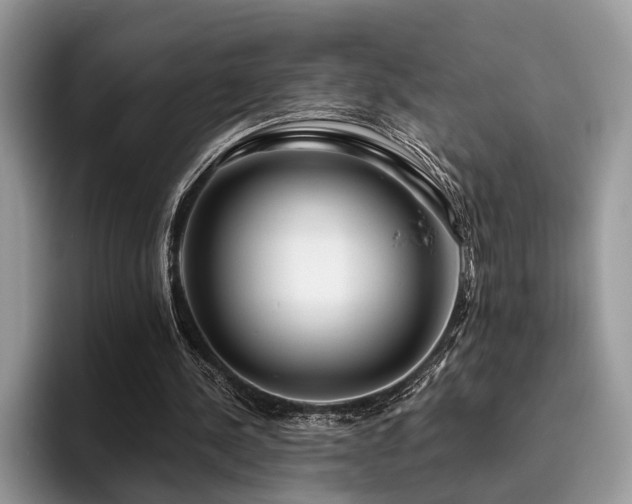 X0000096210244200801181436