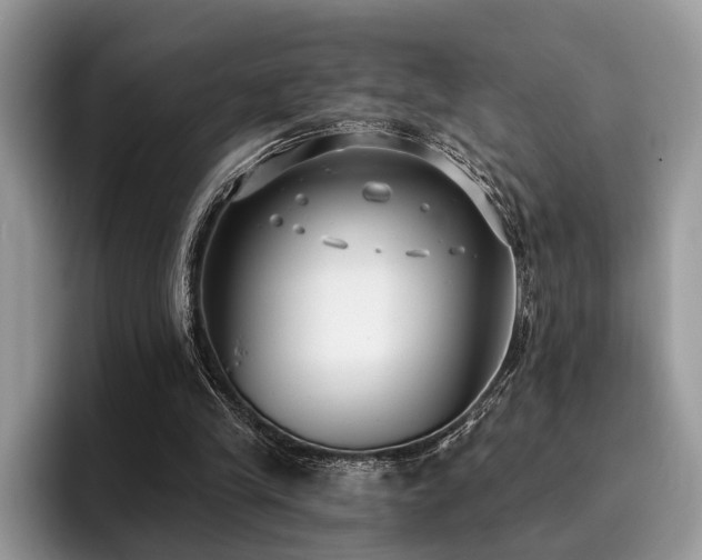 X0000096210245200801181436