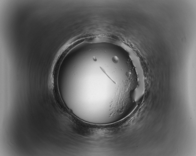 X0000096210246200801181436