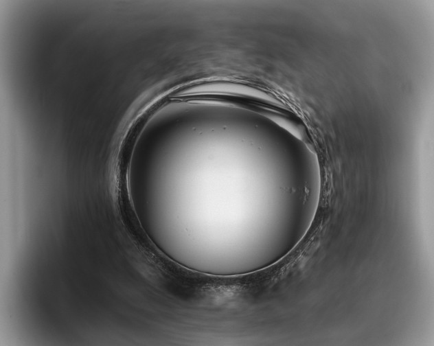 X0000096210247200801181436